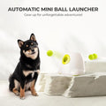 ALL FOR PAWS Automatic Ball Launcher for Dogs Interactive Puppy Pet Ball Indoor Thrower Fetch Machine, 3 Balls Included 