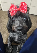 JpGdn 24PCS Big Dog Hair Bows with Rubber Band Random Pattern for Large XL Breed Bowknot Topknot Grooming Hair Accessories