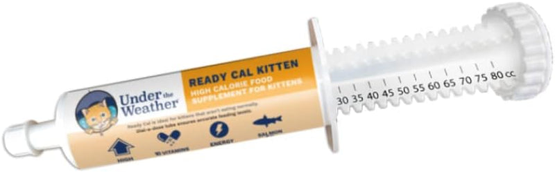 Under the Weather Pet | Ready Cal for Kitten | High Calorie Pet Nutritional Supplement for Weight Gain & Healthy Weight 