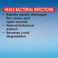 API MARINE MELAFIX Saltwater Fish and Coral Bacterial Infection Remedy 16-Ounce Bottle
