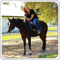 Champion Shield Silver Liquid Bandage for Horses, 2 Pack, Wound Care, First Aid for Horses, Livestock, Large Animal Spra