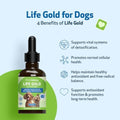 Pet Wellbeing More Mushrooms Bundle for Dogs - Immune System Support