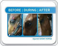 Champion Shield Silver Liquid Bandage for Horses, 2 Pack, Wound Care, First Aid for Horses, Livestock, Large Animal Spra