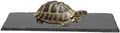 Turtle Basking Platform Rocks Slate Rock for Reptiles Tortoise Food Dish Landscape Habitat Decor Accessories, Basking Ro