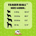 Jolly Pets Teaser Ball Interactive Dog Toy, 8 in Large