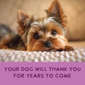 Health Extension Gently Cooked Chicken & Pumpkin Dog Food, Human-Grade & Shelf-Stable with Superfoods, Supports Digestio