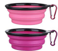 Collapsible Pet Bowl Set, Portable Silicone Travel Food Water Bowls with Carabiner Clip, Multi-Color, Space-Saving Design for Dogs Cats (Purple & Pink)