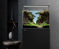 LANDEN Aquarium 60P 16 Gallon Ultra Clear Glass Rimless Fish Tank