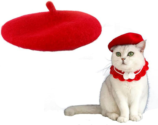 Dog Beret Hats Cats Hats Fashion Four Seasons Funny Wool Winter Pet Hat