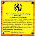 Authentic Certified Used Horseshoe - Good Luck Charm - Rustic - Lucky Gift Feng Shui
