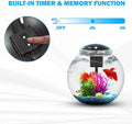 3-Gallon Aquarium Starter Kit, Ideal for Betta Fish and Other Tropical Fish, Includes Power Filter, LED Light, Hood, and