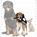 TUFFY® 2 Pack Killer Whale Ultra Durable Plush Dog Toy