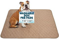 EZwhelp Reusable Dog Pee Pads, Washable Waterproof Mat 60x60 in, 1-Pack