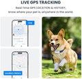 DBDD AI GPS Tracker for Dogs (White) with Virtual Fence & Real-Time Location - Waterproof Electronic Collar for Escape Artists, AI Health Monitor for Medium to Large Dogs (30lbs+), iOS & Android