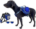 Saddlebag Back Pack & Harness Combo for Dogs 30-100+ lbs. Perfect for Travel, Trail Hiking, & Camping. Reflective, Lightweight, & Comfortable. Comes with Two Collapsible Bowls (Large, Blue)