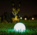 Chuckit! Max Glow Balls, Bouncy Ball for Dogs, Medium, 2.5in, 2 Pack