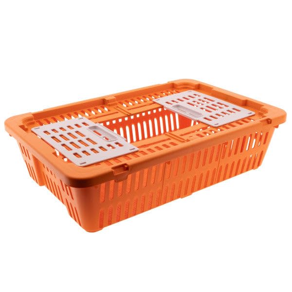 Transport Coop for Quail & Pigeon – Orange – Durable Plastic Poultry Carrier with Secure Locking Lid & Ventilation – Lightweight, Stackable, Easy-Clean Crate for Safe Bird Transport