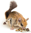 Exotic Nutrition Squirrel Complete (1.75 lb.) - Healthy Natural Food - Nutritional Diet for Pet & Captive Squirrels - Gr