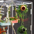 4Pcs Jumping Spider Enclosure Accessories Cocoon-Shaped Jumping Spider Hideaway with Artificial Moss and 1 Pcs Resting P