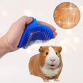 Patelai 4 Pcs Bunny Grooming Kit Bunny Brush Rabbit Nail Clipper, Blue