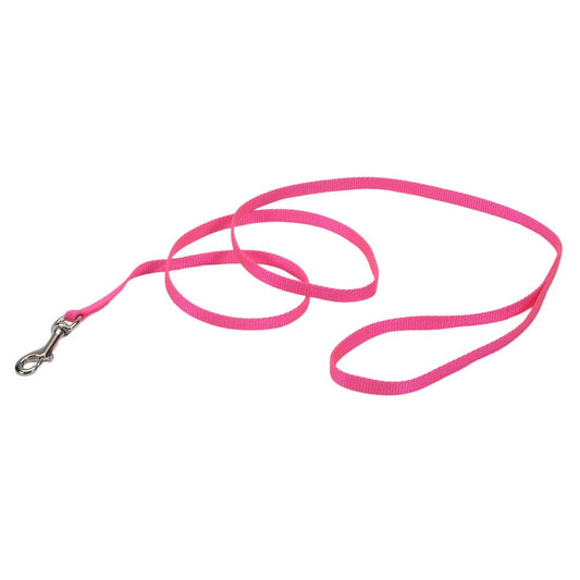Coastal Pet Single-Ply Dog Leash - Sturdy Pet Leash - Comfortable & Stylish - Resists Fraying - Vibrant & Fade-Resistant Color - Neon Pink, 3/8" x 6'