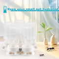 5 Pcs Jumping Spider Ant Water Feeder Bee Plastic Water Feeding Tarantula Water Bowl Spider Feeder (Capacity: 20ml)