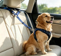 Dog Car Seat Belt, Adjustable Vehicle Seat Belt Lead with Elastic Buffer for Small Medium Large Dogs, Practical Nylon Dog Travel Restraint Fit for Cars Trucks (Blue)