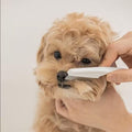 Reusable Pet Flea Comb
