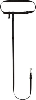 The Buddy System - Hands Free Dog Leash - Small Dog, Large Belt