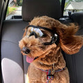 PETLESO Dog Goggles for Large Breeds, UV Protection Dog Sunglasses with Adjustable Straps, Windproof Pet Eyewear for Medium to Large Pets, Soft Frame, Breathable, Clear L