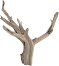 Koyal Wholesale 12” Driftwood Terrarium Decor, Clean California Manzanita Drift Wood Reptile Decor, Driftwood Decor for 