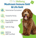 Pet Wellbeing More Mushrooms Bundle for Dogs - Immune System Support