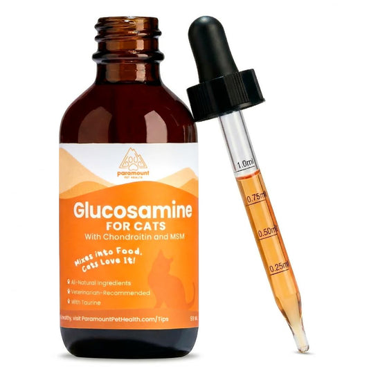 Paramount Pet Health Liquid Glucosamine Chondroitin MSM for Cats, Hip & Joint Support Supplement, Supports Mobility and Flexibility, Senior Cat Liquid Joint Supplement Drops for Daily Care, 2 oz