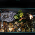 YZHZOM Turtle Basking Platform with Suction Cups, Floating Resting Terrace for Frogs, Terrapins and Tortoises