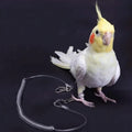 Zerodis Parrot Flying Rope,19.7ft Ultra Light Anti Bite Portable Bird Flying Training Leash Parrot Foot Chain Pet Bird S