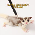 MANON ROSA Sugar Glider Harness and Leash Set, Adjustable 3 Pcs Vest, Black