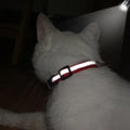 Hot Pink XXS Puppy Dog Collar with Bell Leash Set Reflective Cat Collars XS