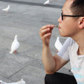 DQITJ 3 Pcs Birds Whistle Stainless Steel Training Training Flute Pet Behavior Training Tool for Pigeons Doves Parrot (B