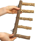 Bird Ladder Perch Cage Nature Wood Stand Parrot Chew Toy for Small Medium Parrot Animal (M) (Bird Ladder)