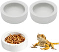 Escape-Proof Reptile Food Dish Bowl, Ceramic Reptile Feeding Dish & Small Animal Bowl for Lizard, Leopard Gecko, Hermit 