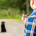 Dog Whistles that Makes Dogs Come to You | Perfect for Training | Dog Training Whistles | Includes Lanyard for Easy Use 