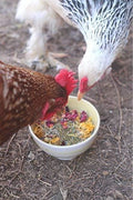 Pampered Chicken Mama Best Eggs Ever! Nesting Herbs for Chickens (10 Ounces) | Chicken Nesting Herbs