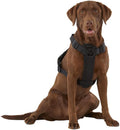 KONG Ultra Durable Waste Bag Harness (Large, Black)