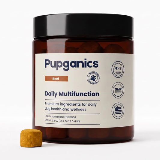Multivitamin Daily Soft Chew Dog Supplement with Glucosamine, Probiotics, and Omega-3, Beef, Salmon, Chicken, and Peanut