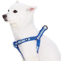 Blueberry Pet Essentials Step-in Reflective Back to Basics Dog Harness, Navy Blue, Chest Girth 16.5" - 21.5", Small, Adjustable Harnesses for Dogs