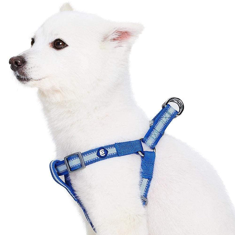 Blueberry Pet Essentials Step-in Reflective Back to Basics Dog Harness, Navy Blue, Chest Girth 16.5
