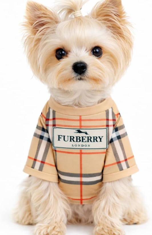 Luxury Designer Dog T Shirt – Trendy Puppy Clothes for Small Dogs, Fashion Pet Tee for French Bulldogs & Chihuahuas, Eve