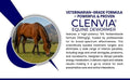 Horse Paste 10% – 4 Pack – 25g Syringes – Oral Deworming Paste for Horses of All Ages – Easy-to-Administer Equine Care