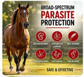 Ivermectin Horse Paste 1.87% – Apple Flavored Oral Horse – 6.08g Tube Treats Horses Up to 1,250 lbs [Pack-3]