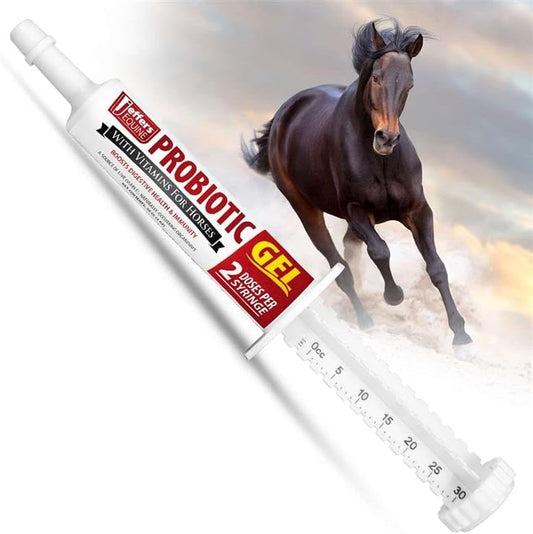 Jeffers Equine Probiotic Oral Gel for Horses, 30 cc Syringe – Supports Healthy Gut, Natural Appetite & Digestion, Horse 